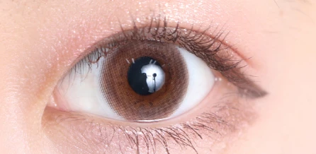 Eye Closet 아이클로젯 먼슬리 14.5mm 하베스트링(1박스 2개들이) 이미지 2