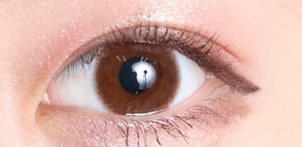 Eye Closet 아이클로젯 먼슬리 14.5mm 브라이트오브(1박스 2개들이) 이미지 2