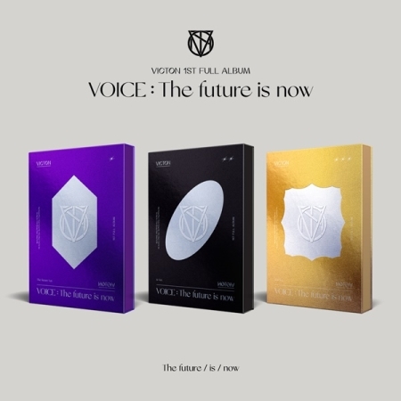 [ランダム]ビクトン（VICTON） - 1集[VOICE：The future is now]ランダム 画像 0